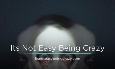 ItsNotEasyBeingCrazy.com - Creative brandable domain for sale